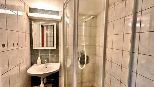 a bathroom with a shower and a sink at Fredvang Farm House - Lofoten in Fredvang