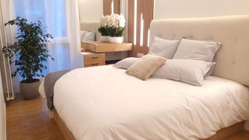 Luxurious and Glamorous Apartment