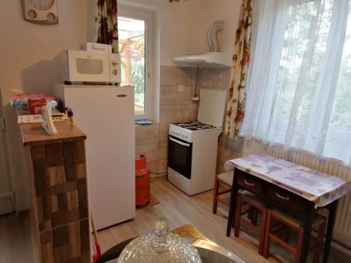 a small kitchen with a refrigerator and a microwave at Cabana veverita in Sîntimbru-Băi