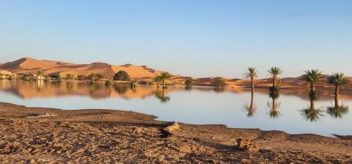 a body of water with palm trees in the desert at Oasis Luxury Camp in Merzouga