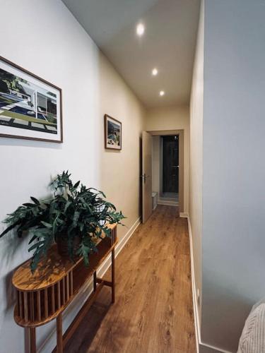 un couloir avec une plante en pot sur une table dans l'établissement Les Dunes Appartement Cosy 200m de la mer, à Le Touquet-Paris-Plage