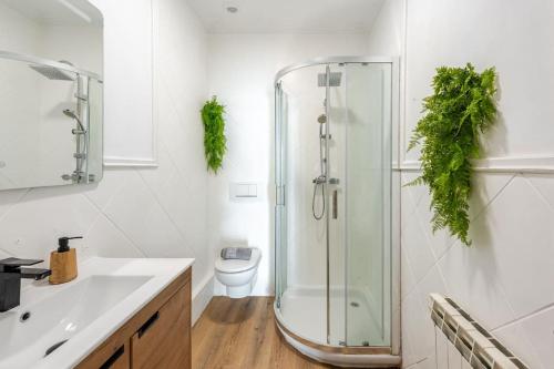レンテリアにあるApartamento Orereta near San Sebastiánのバスルーム(ガラス張りのシャワー、トイレ付)