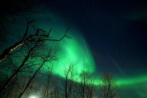 Gambar di galeri bagi Egen modern mysig lägenhet di Kiruna
