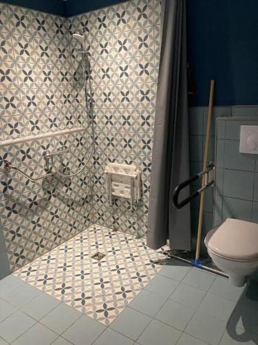 une salle de bain avec douche et toilettes dans l'établissement Gîte Le studio à la Ferme de Coumodous, à Montmaurin