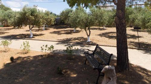 a park bench sitting next to two trees at Parosland Hotel in Aliki