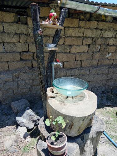 a water fountain on a stump with a plant at Casa de campo hospedaje RyM in Sicuani
