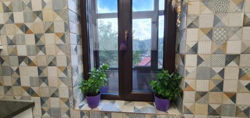 Afbeelding uit fotogalerij van Anahita in Sinaia