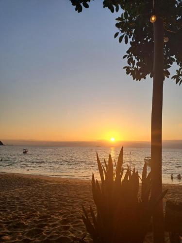 a sunset on the beach with a palm tree at Suítes Encanto do Pai in Praia de Araçatiba