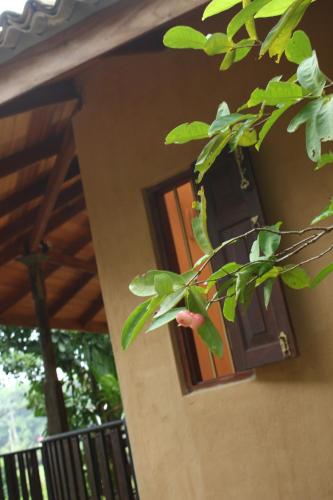 a bird perched on a tree branch in front of a window at Guruwaththa Eco Lodge in Hikkaduwa
