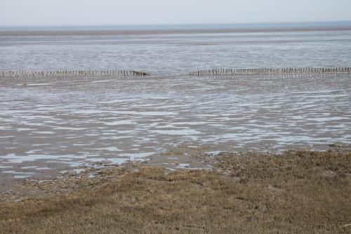 a large body of water with a pier in it at Hotel Schwarzer Adler Jever in Jever
