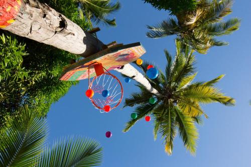 a kite hanging from a palm tree at Ravintsara Wellness Hotel in Ambaro