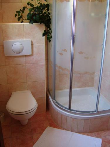 a bathroom with a toilet and a shower at Rožmberk Royale Pension in Rožmberk nad Vltavou