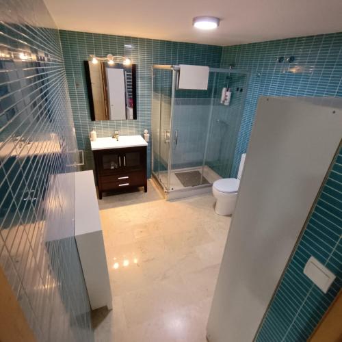 a bathroom with a shower and a sink and a toilet at El Rincón de Don Gonzalo in Puente Genil