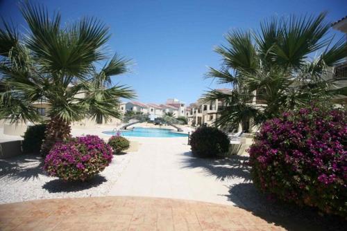 Faros Beach tesisinde veya buraya yakın yüzme havuzu