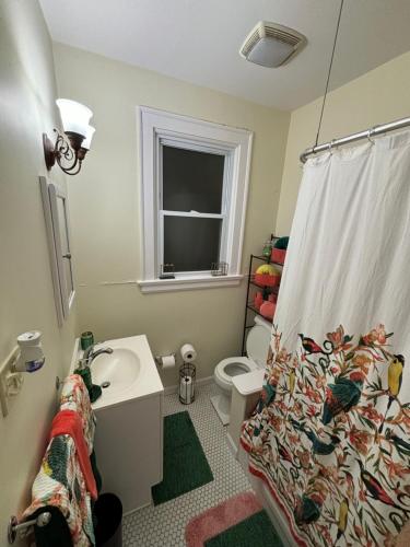 辛辛那提Charming 1 BR Apt 6 miles from Downtown!的配有马桶、水槽和淋浴的浴室