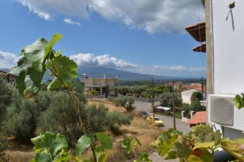 Γενική θέα στο βουνό ή θέα στο βουνό από  αυτό το διαμέρισμα