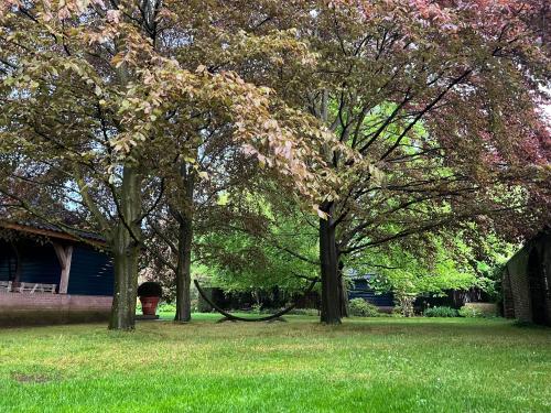 Taman di luar Eersel's Groen