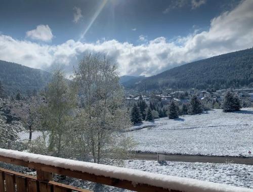 Cocon à Gérardmer