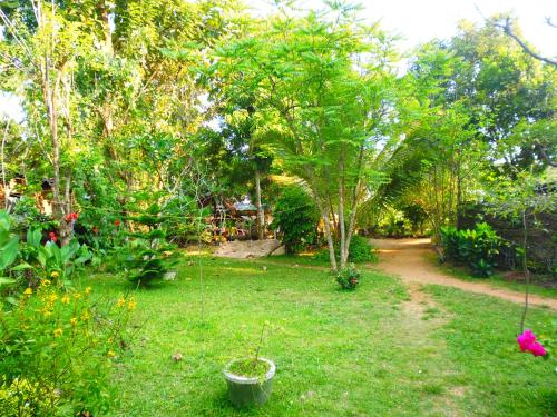 a yard with a garden with trees and flowers at The Nilmini Lodge in Sigiriya