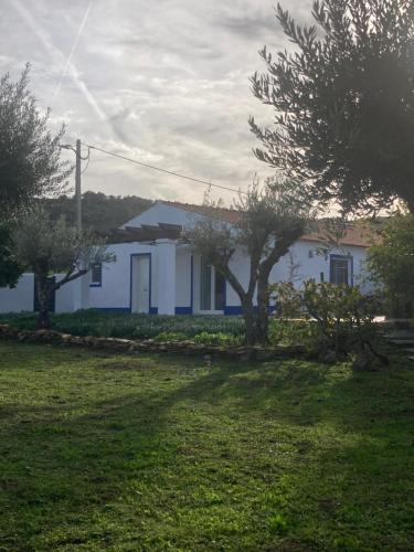 Casa do Monte T2 - Esperança