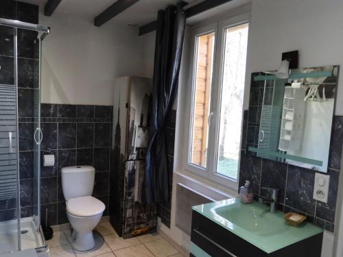 a bathroom with a toilet and a sink and a window at La Faisanderie in Saint-Florent-sur-Cher