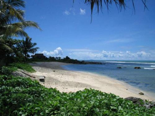 a beach with a palm tree and the ocean at Tanjung Lesung Beach Hotel in Carita