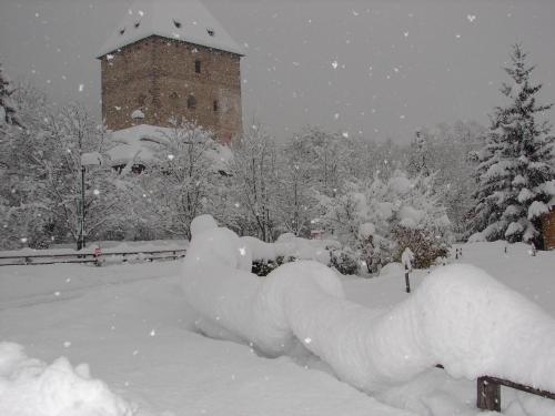Ferienhaus-Römerthurm