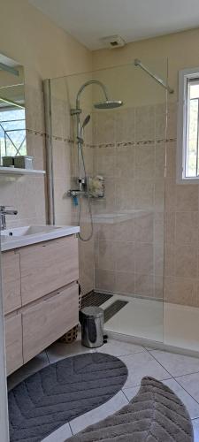 une salle de bain avec douche et lavabo dans l'établissement La maison de Lucie, à Gère-Belesten