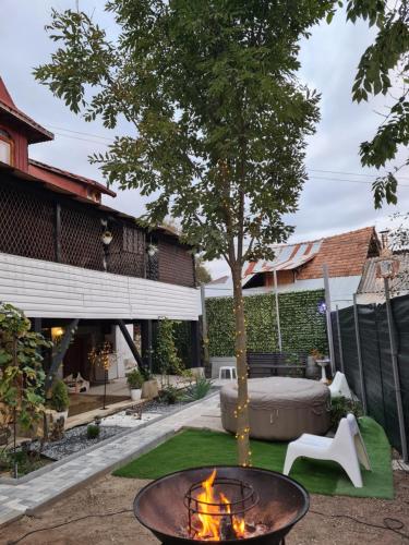 un cortile con buca per il fuoco e un albero di Vila DS - Slănic Prahova a Prăjani