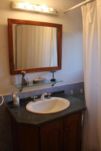 a bathroom sink with a mirror and a shower curtain at Casita con entorno espectacular in La Cumbre