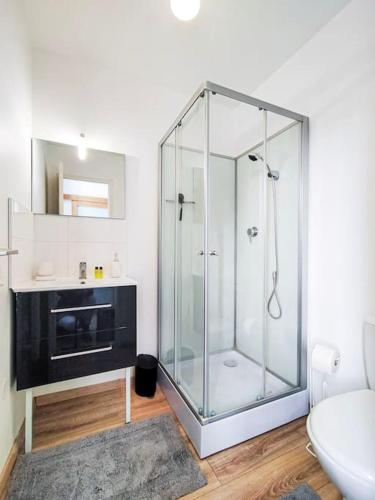 une salle de bain avec une douche avec un lavabo et des toilettes dans l'établissement Charme de l'Isère au Coeur de Ville, à Romans-sur-Isère