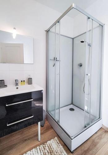 une salle de bain avec une douche en verre et un lavabo dans l'établissement L'Isère depuis les Quais Romanais, à Romans-sur-Isère