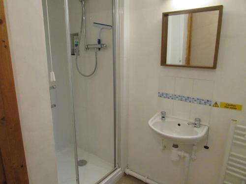 a bathroom with a shower and a sink at Penlan Farm Cottage in St Clears