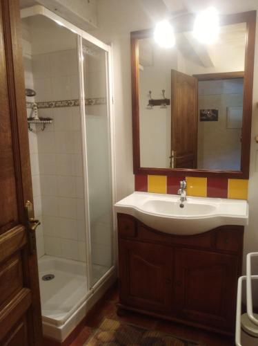 a bathroom with a sink and a shower at La musardière in Les Assions