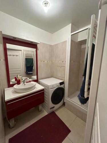une salle de bain avec un lavabo et une machine à laver dans l'établissement Spacious flat ideal for working or events, à Boulogne-Billancourt