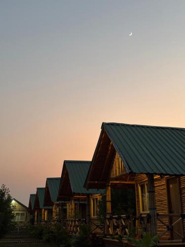 a row of wooden houses with green roofs at sunset at Mowgli's Cafe Hampi & Guest House in Hampi