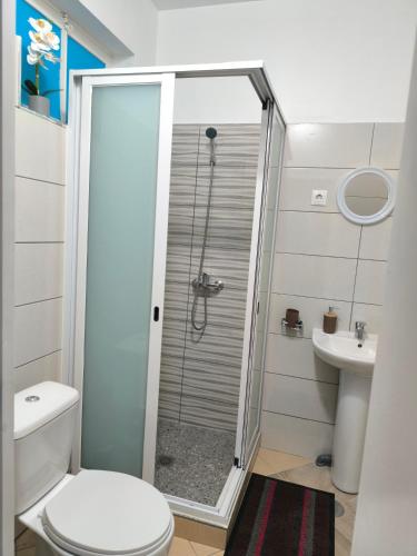 a bathroom with a shower and a toilet and a sink at Plateau Bedroom & Chambre - Praia Center 1 in Praia