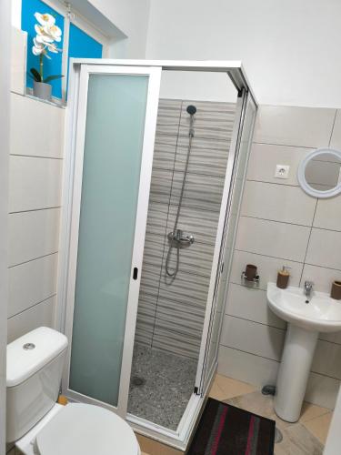 a bathroom with a shower with a toilet and a sink at Plateau Bedroom & Chambre - Praia Center 1 in Praia