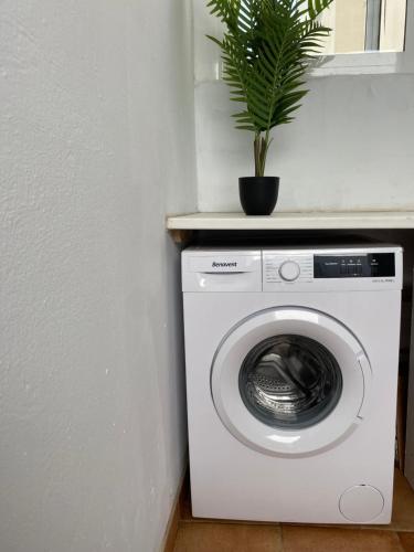 a washing machine with a potted plant on top of it at Playa Honda Red Suite in Playa Honda