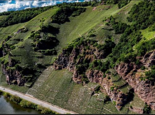 an aerial view of a vineyard with a road on a mountain at Chalet Nicole in Piesport