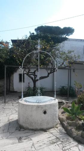 a fountain in the middle of a courtyard with a tree at Hotel Costa Citara in Ischia