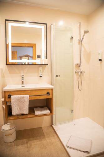 a bathroom with a sink and a shower with a mirror at Perbersdorfer Heuriger in Neuhofen an der Ybbs