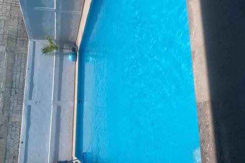 a blue swimming pool with a plant in the water at Estancia inteligente in Mexico City