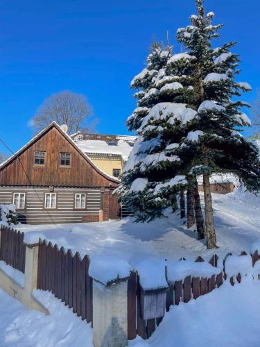 a house and a pine tree in the snow at Roubenka U Javoru in Desná