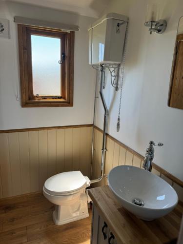 a bathroom with a toilet and a sink at Meadow in Brixham