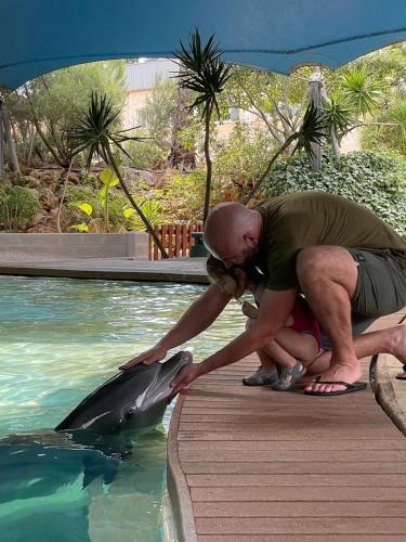 a man is petting a dolphin in the water at Casa Saudade luxury rooms in Faro