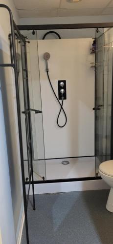 La salle de bains est pourvue de toilettes et d'une paroi en verre. dans l'établissement Bathyscaphe sympathique, à Sète