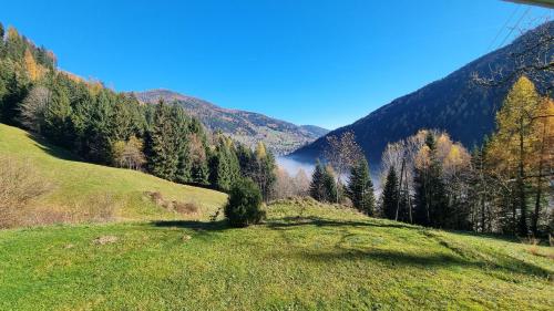 a green field with trees and mountains in the background at Ferienwohnungen Rabensteiner in Bad Kleinkirchheim