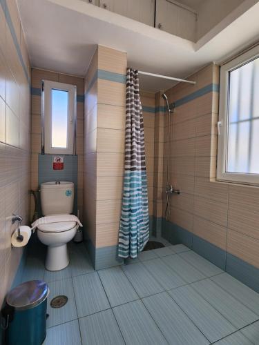 a bathroom with a toilet and a shower at Villa Nikolitsa with private beach in Megara