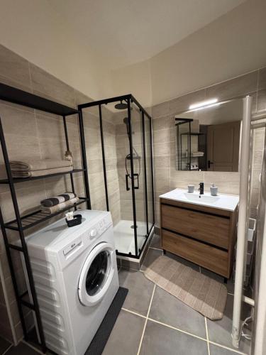 une salle de bain avec une machine à laver et un lavabo dans l'établissement Le Châtillon T3 Vue sur Saône Centre Mâcon, à Mâcon